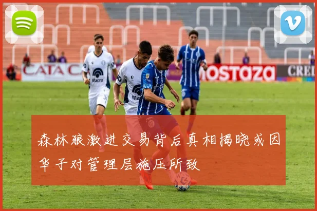 森林狼激进交易背后真相揭晓或因华子对管理层施压所致
