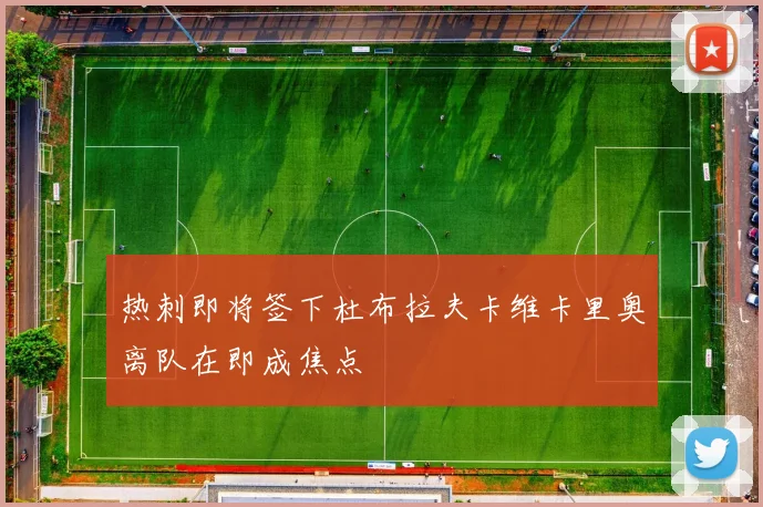 热刺即将签下杜布拉夫卡维卡里奥离队在即成焦点