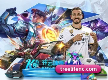 品牌诞生